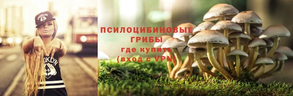 apvp Белокуриха