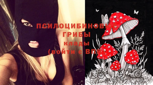 ECSTASY Баксан