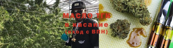 прущий лед Богданович